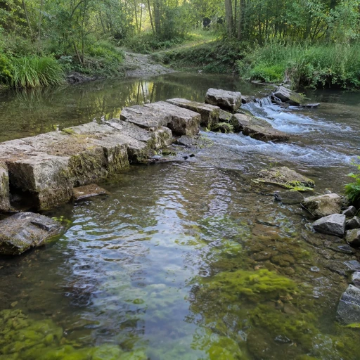 Le vieux seuil qui fragmentait la rivière : restaurer la continuité écologique au XXIe siècle