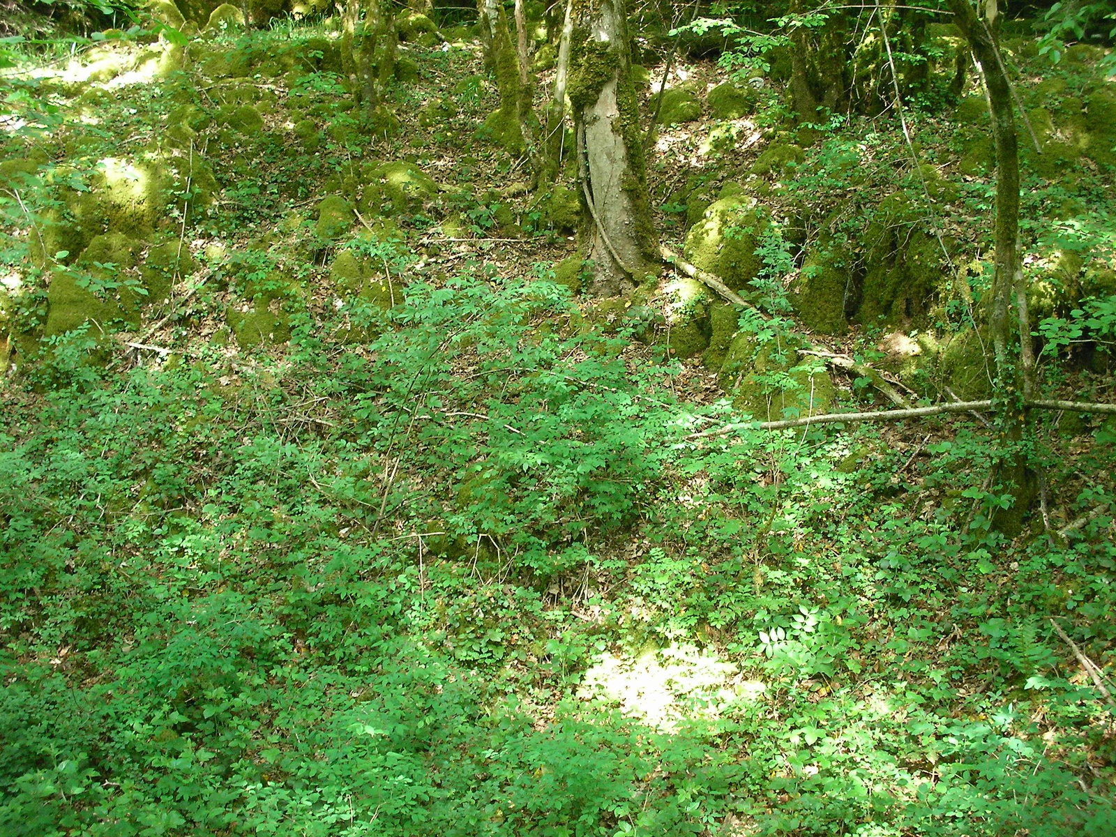 La règle générale face au terrain singulier